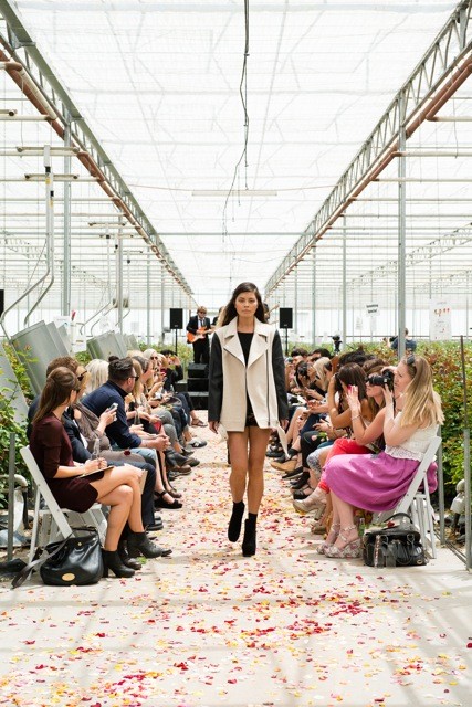 stand out glassons