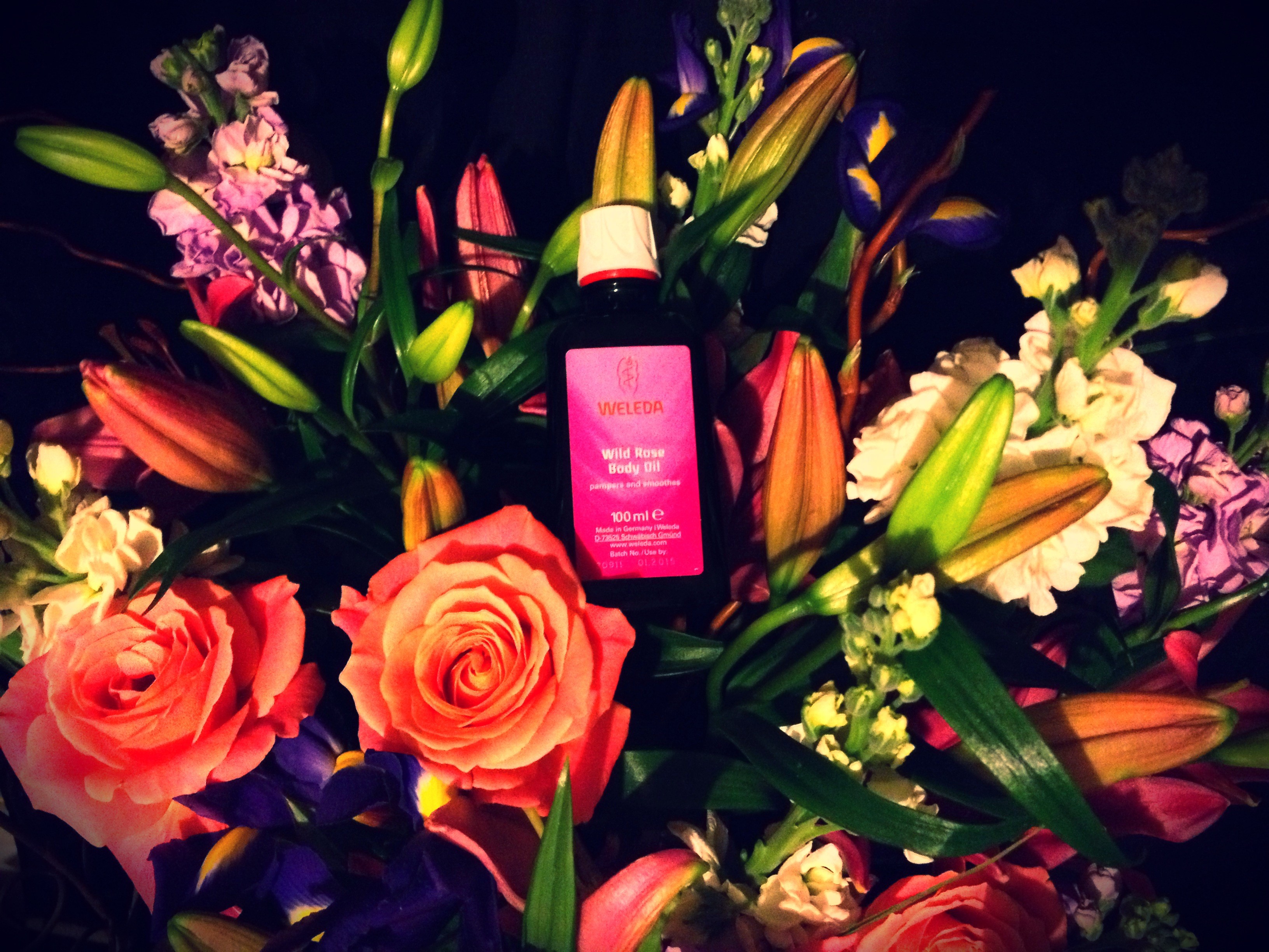 Weleda, weleda wild rose body oil, Body Oil, Rose oil, makeup, beauty, cosmetics, beauty blog nz, fashion blog nz, style blog nz, beauty media nz, fashion media nz, angie fredatovich, gurlinterrupted